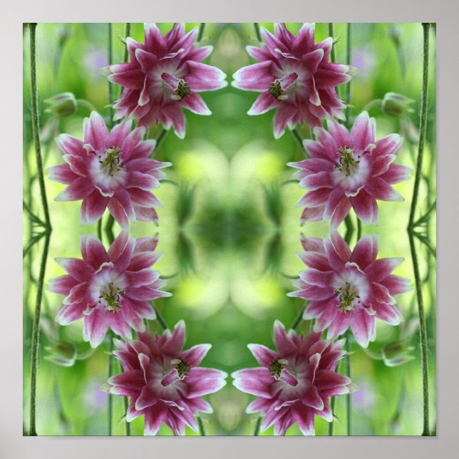 Abstrakte Blume in Rot und Weiß Poster (Vorne)