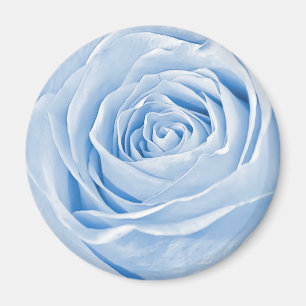 Abstrakte Fotografie einer hellblauen Rose Magnet
