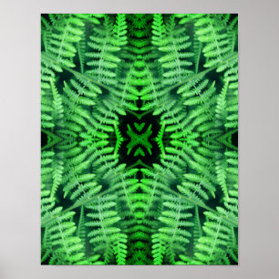 Abstrakte Grüne Blattfarne       Poster