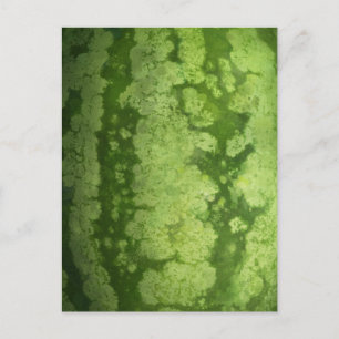 Abstrakte Grüne Rind einer Wassermelone Postkarte