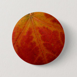 Abstrakte Herbst-Naturfotografie mit rotem Ahornbl Button