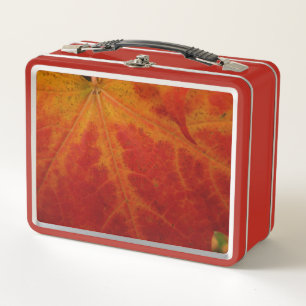 Abstrakte Herbst-Naturfotografie mit rotem Ahornbl Metall Brotdose
