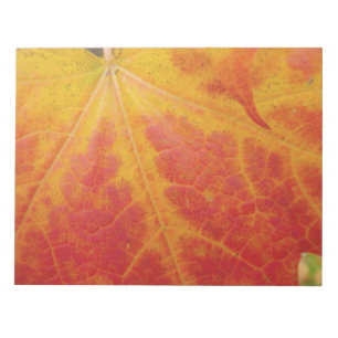 Abstrakte Herbst-Naturfotografie mit rotem Ahornbl Notizblock