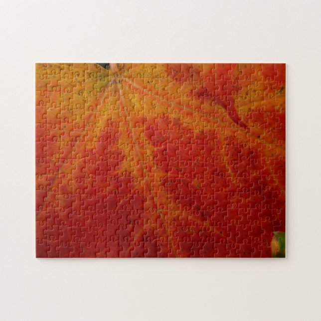 Abstrakte Herbstfotografie aus dem Ahornleaf (Horizontal)