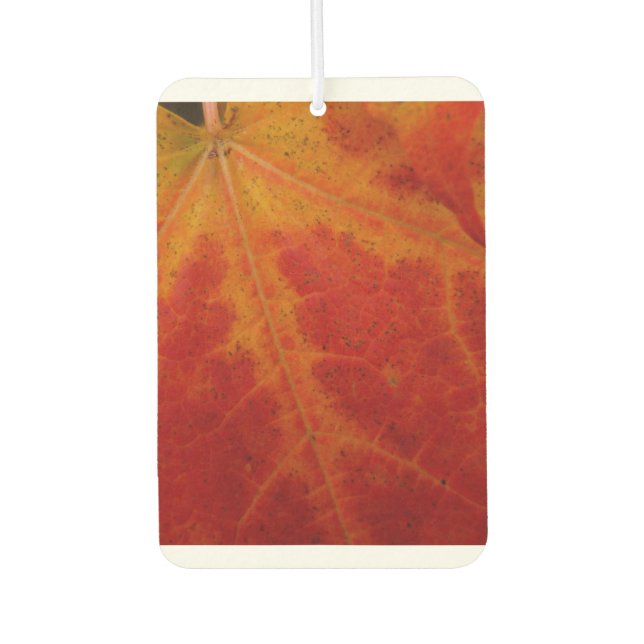Abstrakte Herbstfotografie aus dem Ahornleaf Autolufterfrischer (Vorderseite)