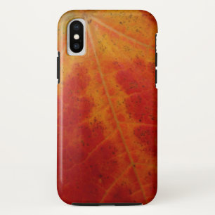Abstrakte Herbstfotografie aus dem Ahornleaf Case-Mate iPhone Hülle