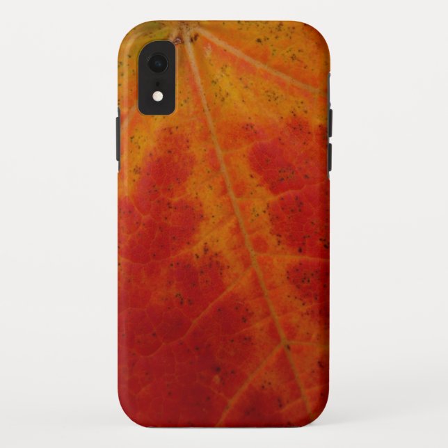 Abstrakte Herbstfotografie aus dem Ahornleaf Case-Mate iPhone Hülle (Rückseite)