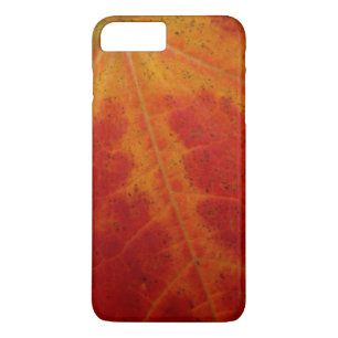 Abstrakte Herbstfotografie aus dem Ahornleaf title_seo2
