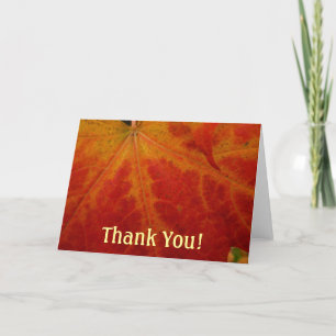 Abstrakte Herbstfotografie aus dem Ahornleaf Dankeskarte