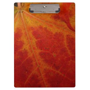 Abstrakte Herbstfotografie aus dem Ahornleaf Klemmbrett