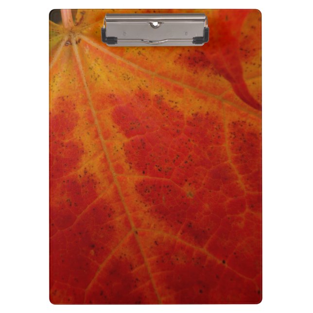 Abstrakte Herbstfotografie aus dem Ahornleaf Klemmbrett (Vorderseite)