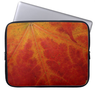Abstrakte Herbstfotografie aus dem Ahornleaf Laptopschutzhülle