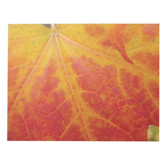 Abstrakte Herbstfotografie aus dem Ahornleaf Notizblock (Vorderseite)