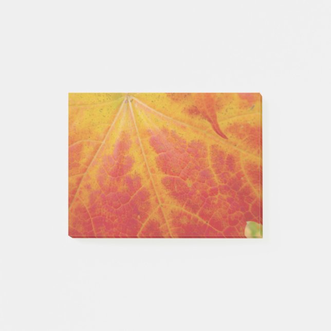 Abstrakte Herbstfotografie aus dem Ahornleaf Post-it Klebezettel (Vorderseite)