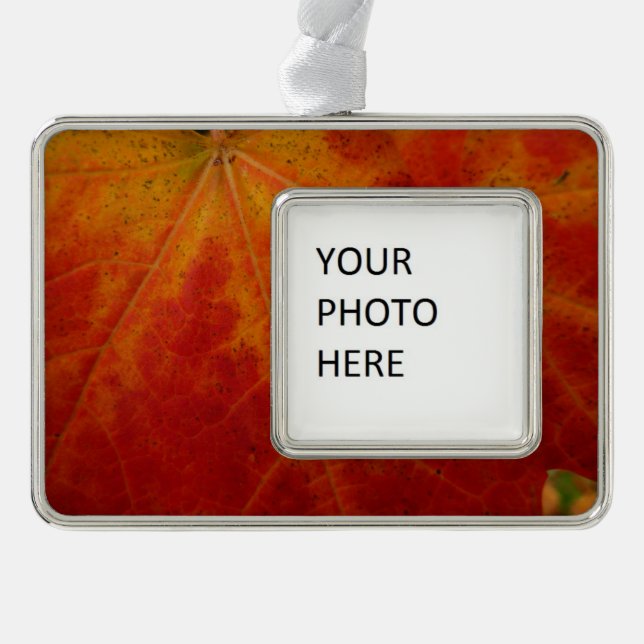 Abstrakte Herbstfotografie aus dem Ahornleaf Rahmen-Ornament Silber (Vorderseite)