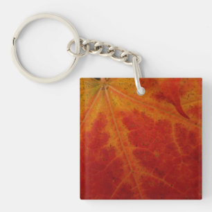 Abstrakte Herbstfotografie aus dem Ahornleaf Schlüsselanhänger