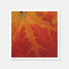 Abstrakte Herbstfotografie aus dem Ahornleaf Serviette