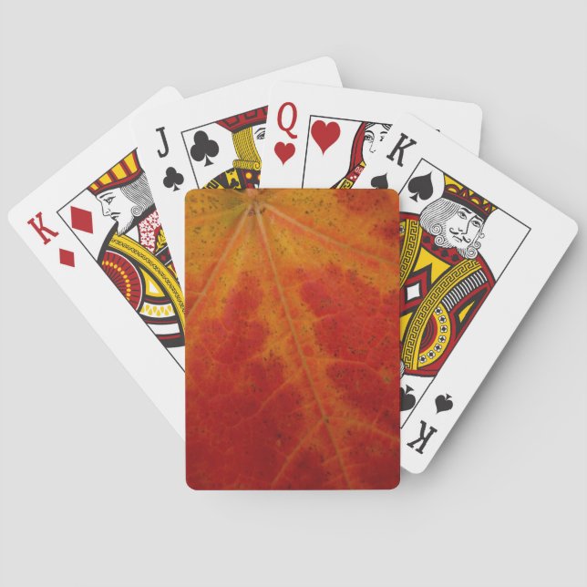 Abstrakte Herbstfotografie aus dem Ahornleaf Spielkarten (Rückseite)