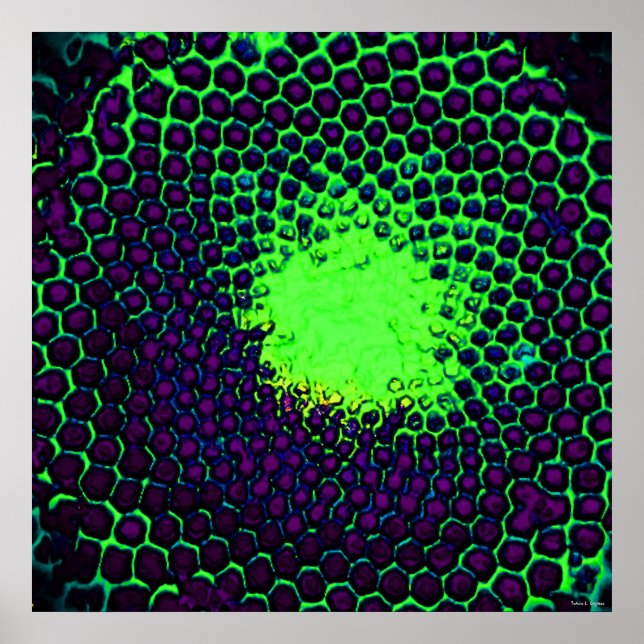 Abstrakte Honeycomb Design grün und lila Poster (Vorne)