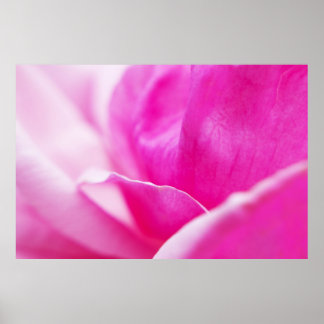 Abstrakte Hot-Pink-Blume Poster