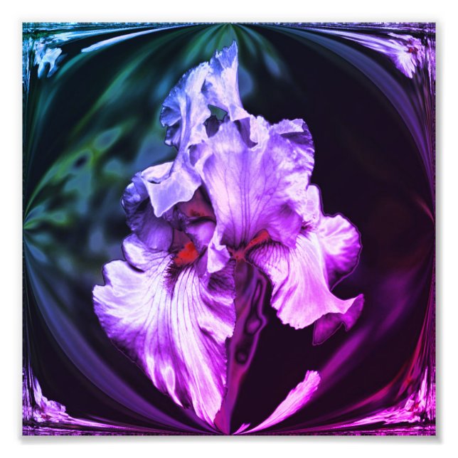 Abstrakte Irisblende Blume Art 8x8 Fotodruck (Vorne)