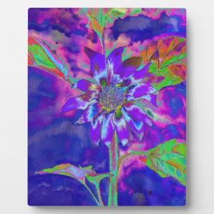 Abstrakte lila Sonnenblume   Retro Funky fun Fotoplatte