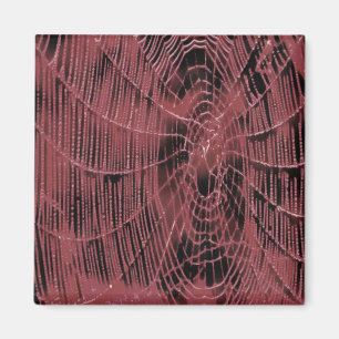 Abstrakte Malerei eines Magenta Pink Cobweb Magnet