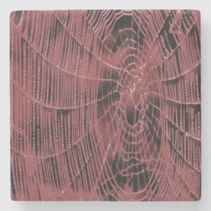 Abstrakte Malerei eines Magenta Pink Cobweb Steinuntersetzer