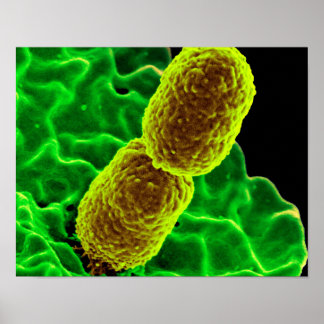 abstrakte Mikrobiologie Kunst kundenspezifische Po Poster
