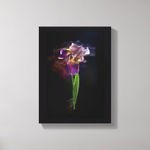 Abstrakte Schwertlilie – Elegante Blumenkunst