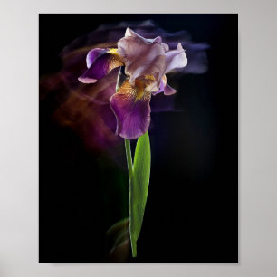 Abstrakte Schwertlilie – Elegante Blumenkunst Poster