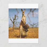 Abstrakte Tiere Kangaroo Kinderschock