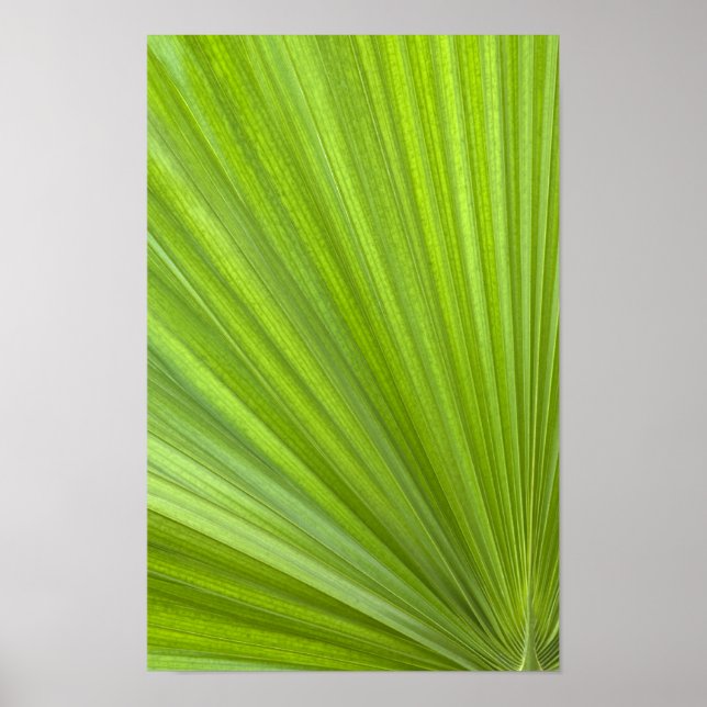Abstrakte tropische grüne Palmwedel Poster (Vorne)