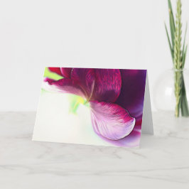 Abstrakte Tulip Petals Art Note Card Karte