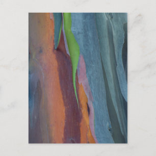 Abstrakte von Rainbow-Gum Postkarte