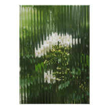 Abstrakte weiße Blumen durch geripptes Glas