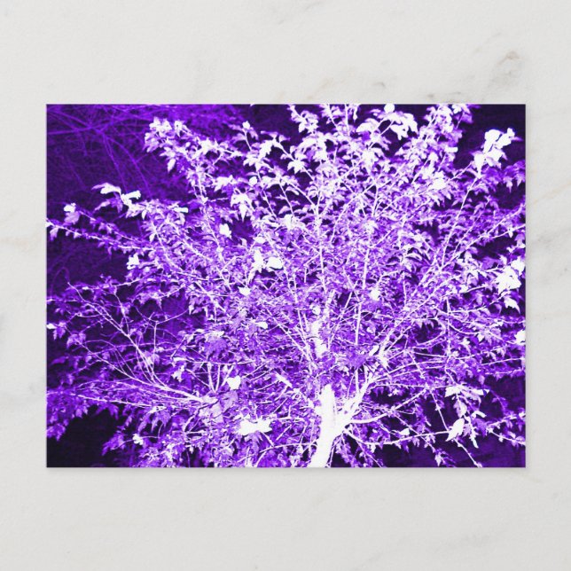 Abstrakter Baum Postkarte (Vorderseite)