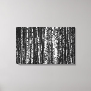 Abstrakter Birken-Schwarzweiss-Wald Leinwanddruck