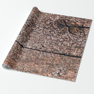 abstrakter Hintergrund aus der alten Holzstruktur  Geschenkpapier