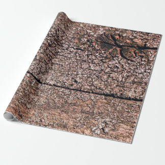 abstrakter Hintergrund aus der alten Holzstruktur  Geschenkpapier