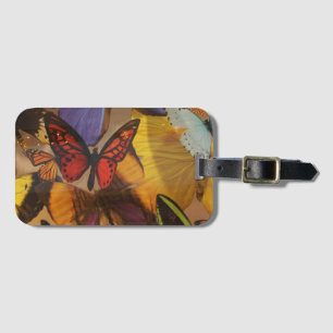 abstrakter lila Orangenschmetterling Gepäckanhänger