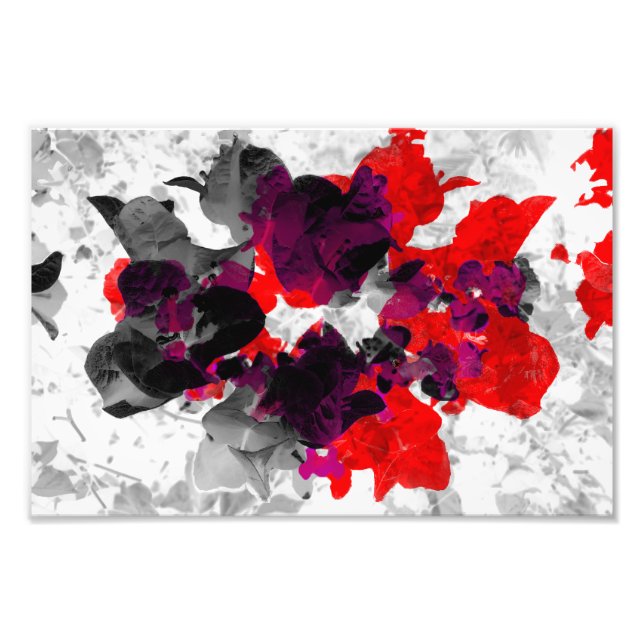 Abstraktes Blumendesign - rot und lila über weiß Fotodruck (Vorne)