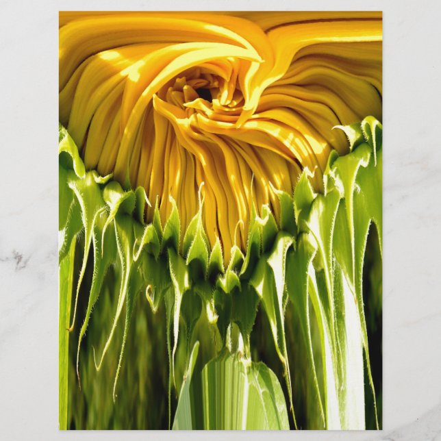Abstraktes funky Retro Sonnenblume, ängstliche Geo (Vorderseite)