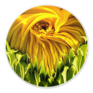 Abstraktes funky Retro Sonnenblume, ängstliche Geo Keramikknauf