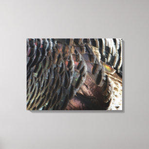 Abstraktes Naturdesign mit Wildtruthahnfedern Leinwanddruck
