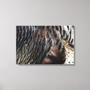 Abstraktes Naturdesign mit Wildtruthahnfedern Leinwanddruck