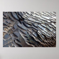 Abstraktes Naturdesign Wild Truthahn Federn II