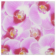 Abstraktes Orchideen-Natur-mit BlumenFoto BG