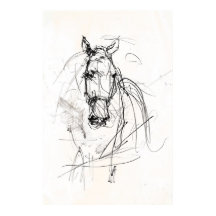 Abstraktes Pferdeschild Sketch - Premium