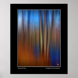 Abstraktes Plakat aus dem Floodplain Forest